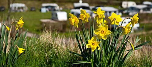 Find de danske campingpladser med åbent i påskeferien.